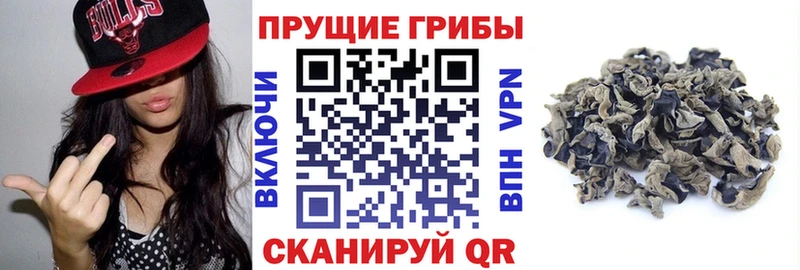 Псилоцибиновые грибы мицелий  Купить закладки  Лыткарино 